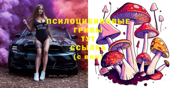 бутират Мегион
